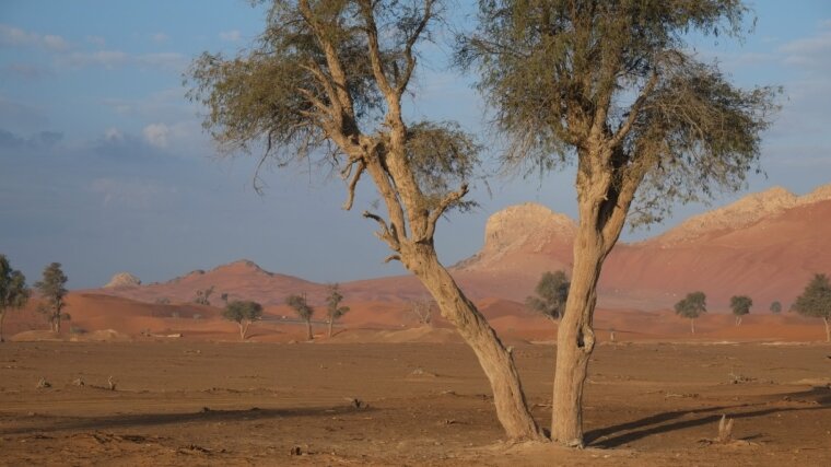 Jabal Mleiha (Sharjah, V.A.E.)